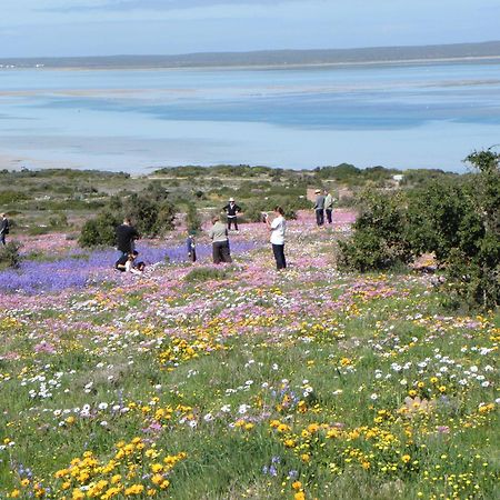 Le Mahi Guest House Langebaan Esterno foto
