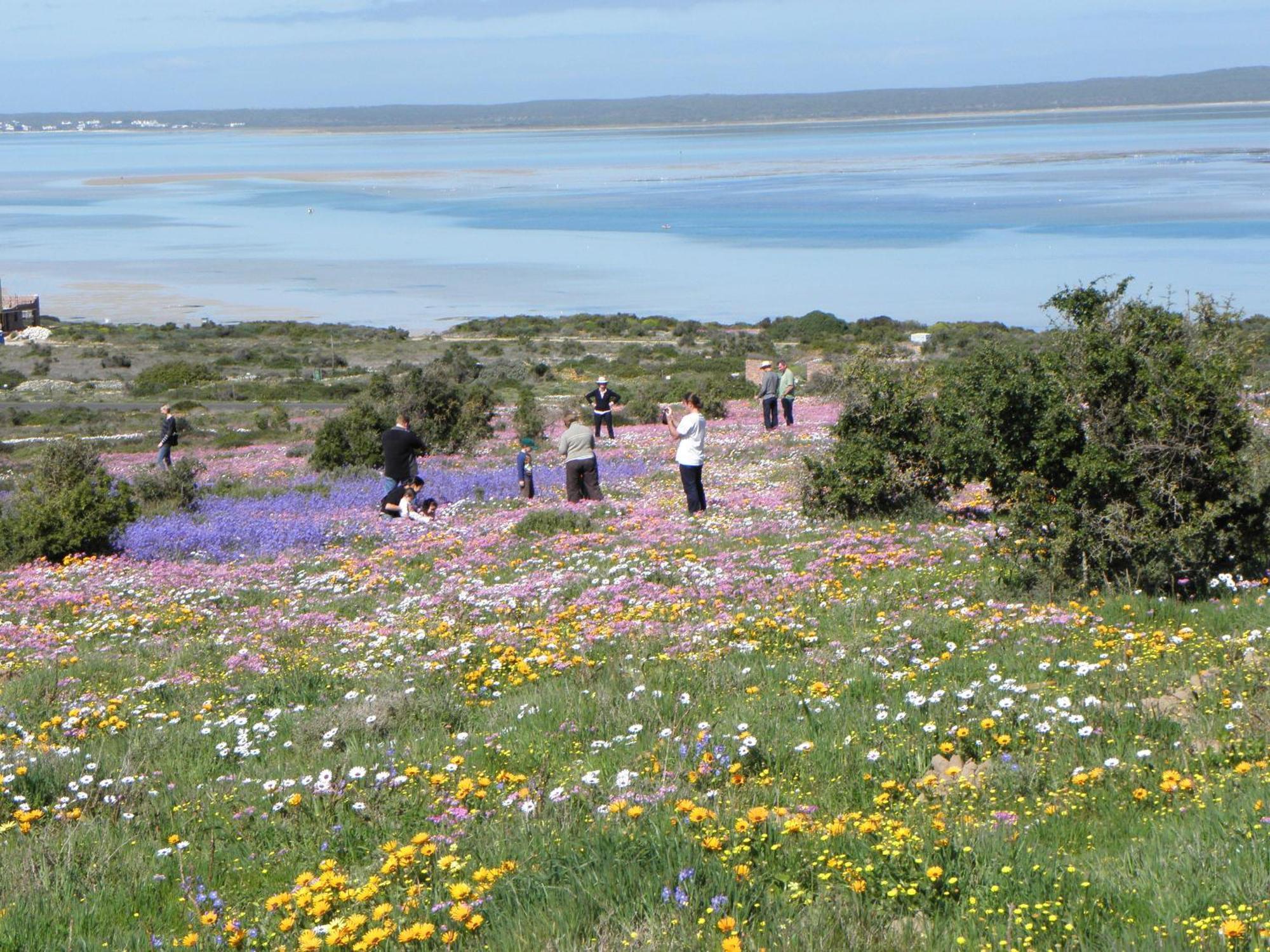 Le Mahi Guest House Langebaan Esterno foto